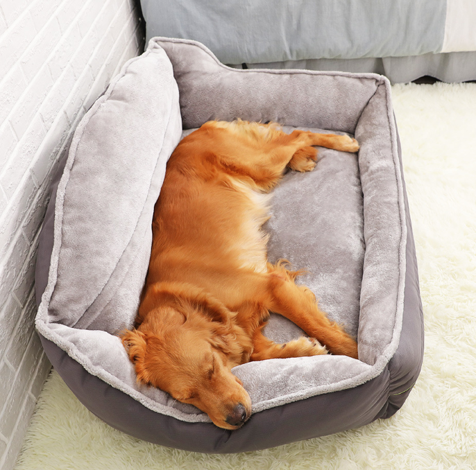 comfortable dog bed for everyday rest and relaxation