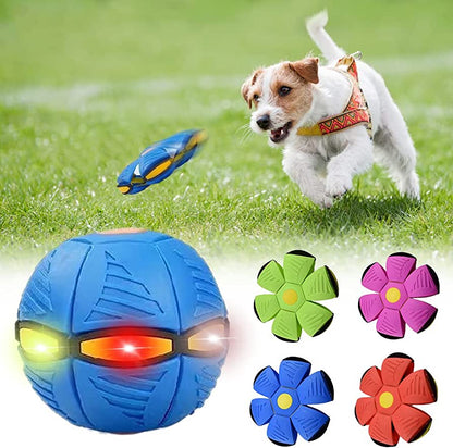 dog frisbee for fetch training and outdoor exercise