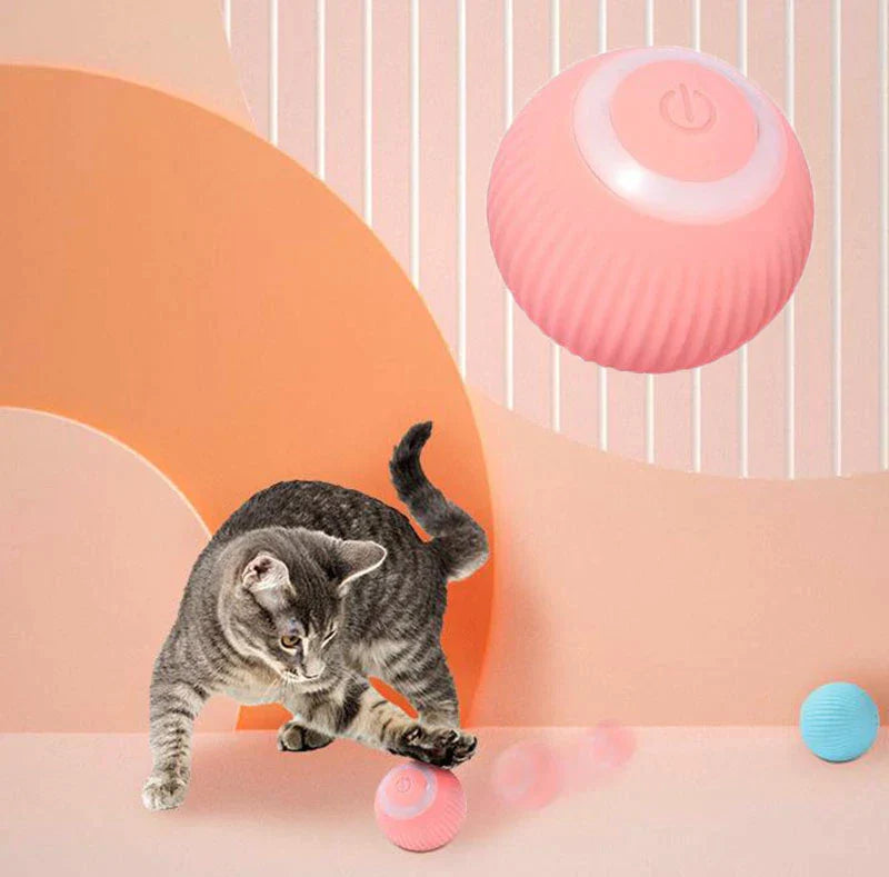 interactive cat ball toy for play and mental stimulation