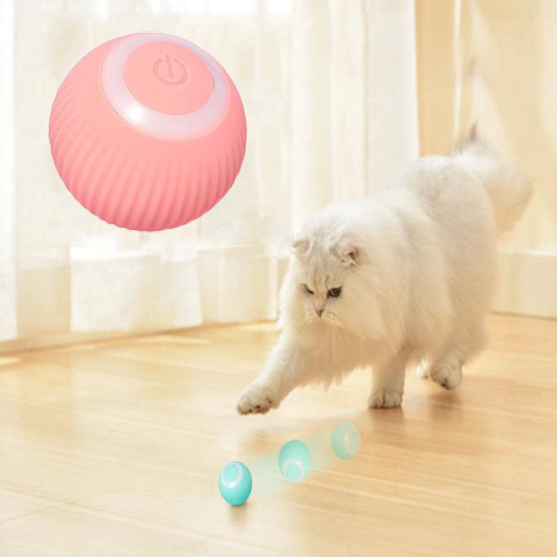 interactive cat ball toy for play and mental stimulation