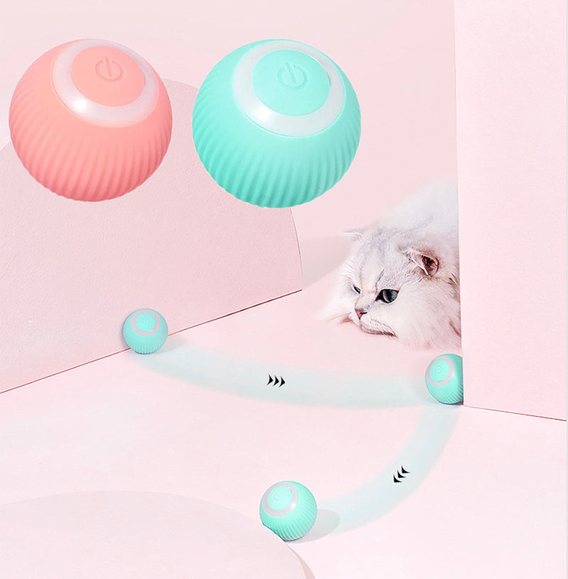 interactive cat ball toy for play and mental stimulation
